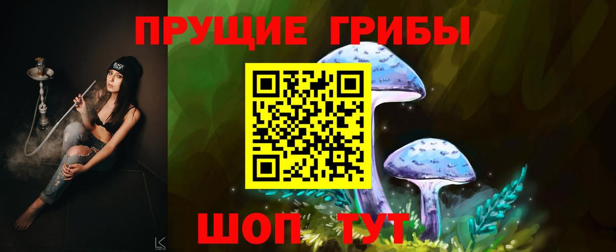 Кубинка  Псилоцибиновые грибы прущие грибы  купить наркоту  Вход с VPN 